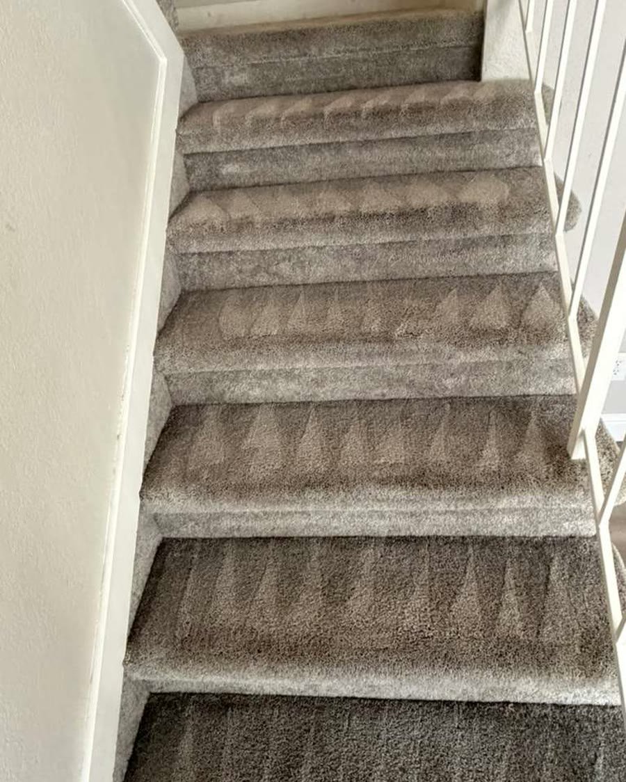 Carpeted stairs after deep carpet cleaning